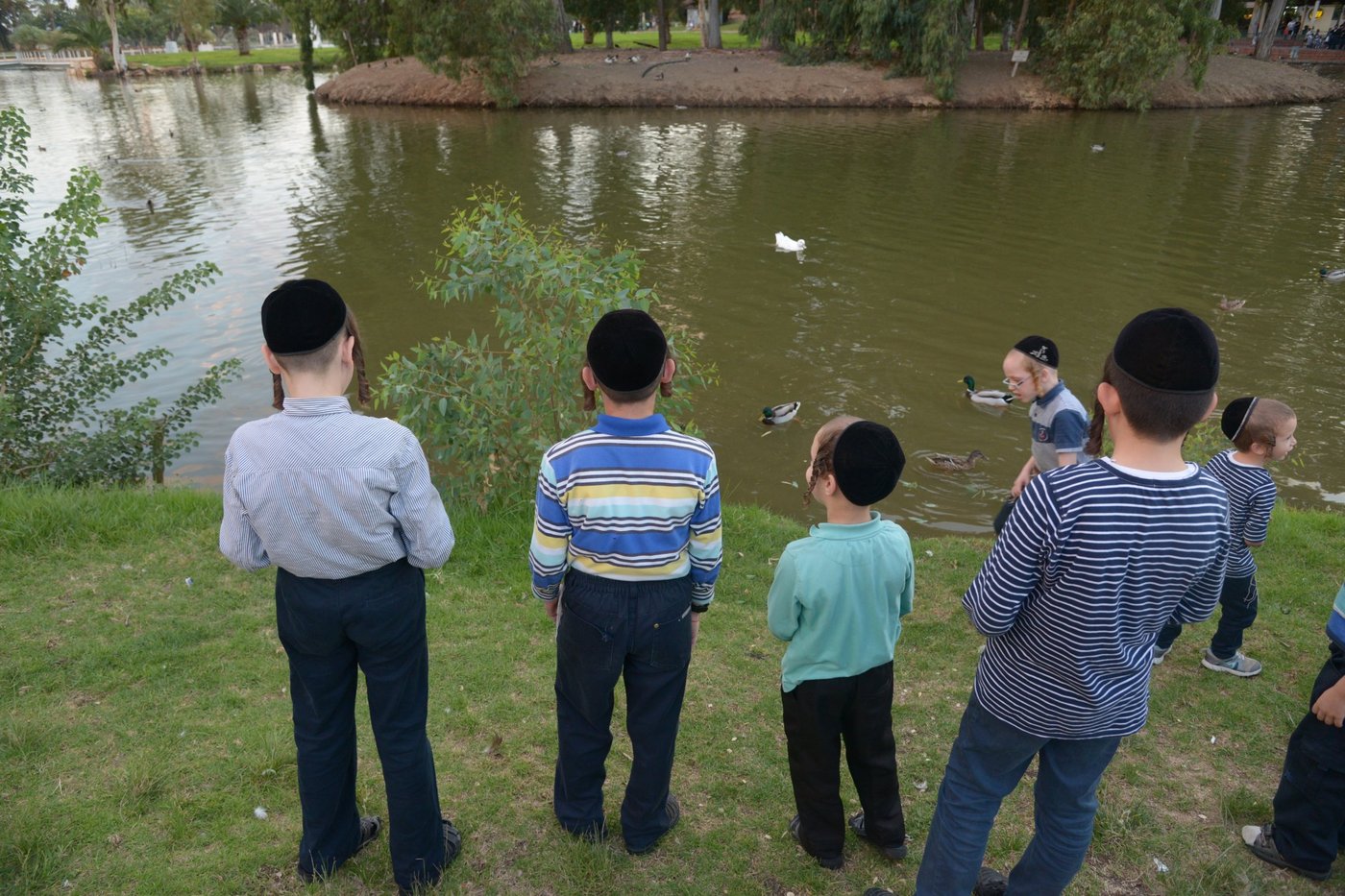 תיעוד: האדמו"ר מויז'ניץ ב'תשליך'