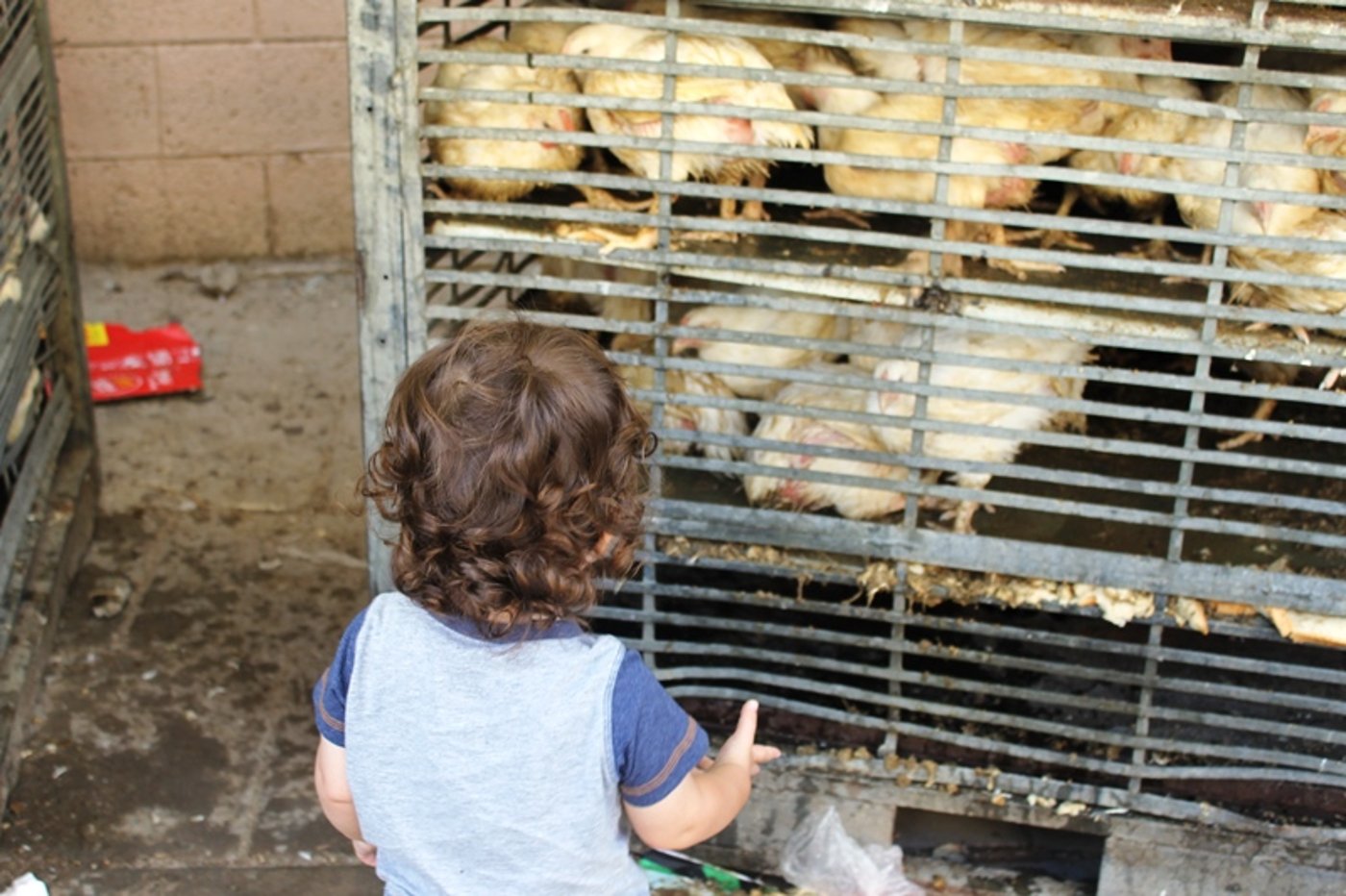 בני ברק מתכוננת לחג הסוכות • צפו