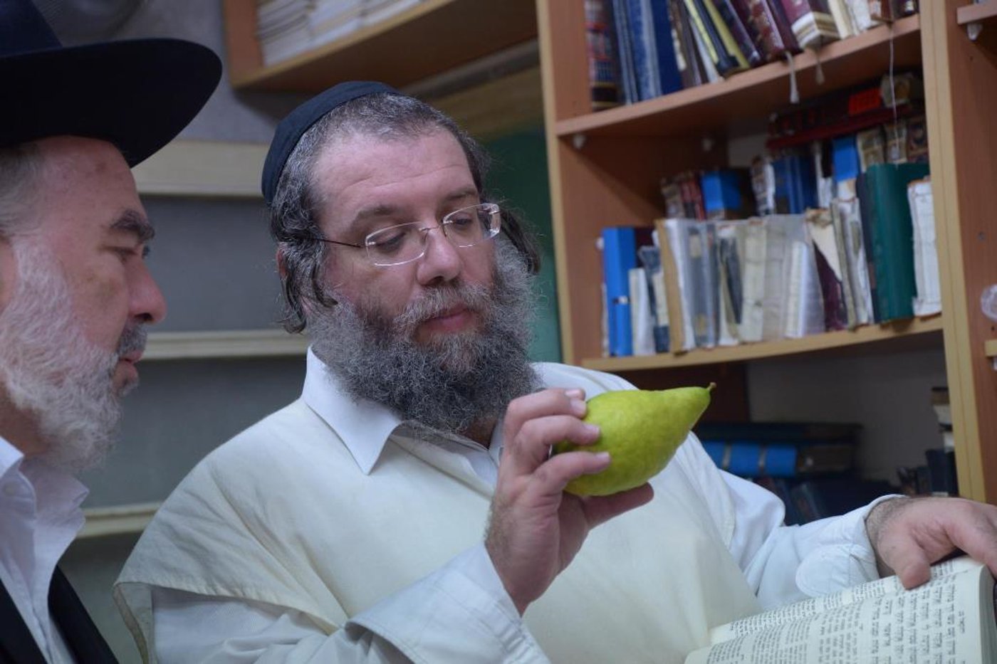 גלריה • מרן הגראי"ל שטיינמן בבחירת אתרוג