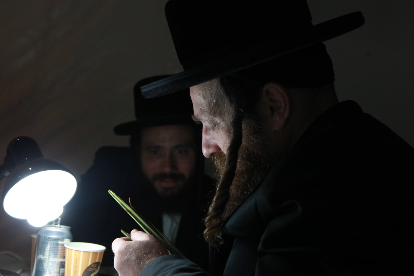 ולקחתם לכם • הירושלמים בחרו ארבעת המינים