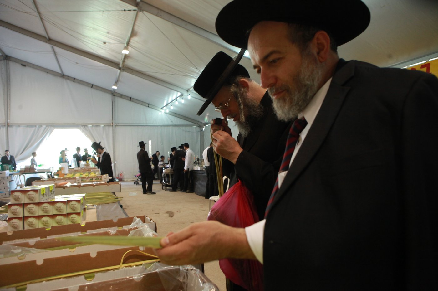 ולקחתם לכם • הירושלמים בחרו ארבעת המינים