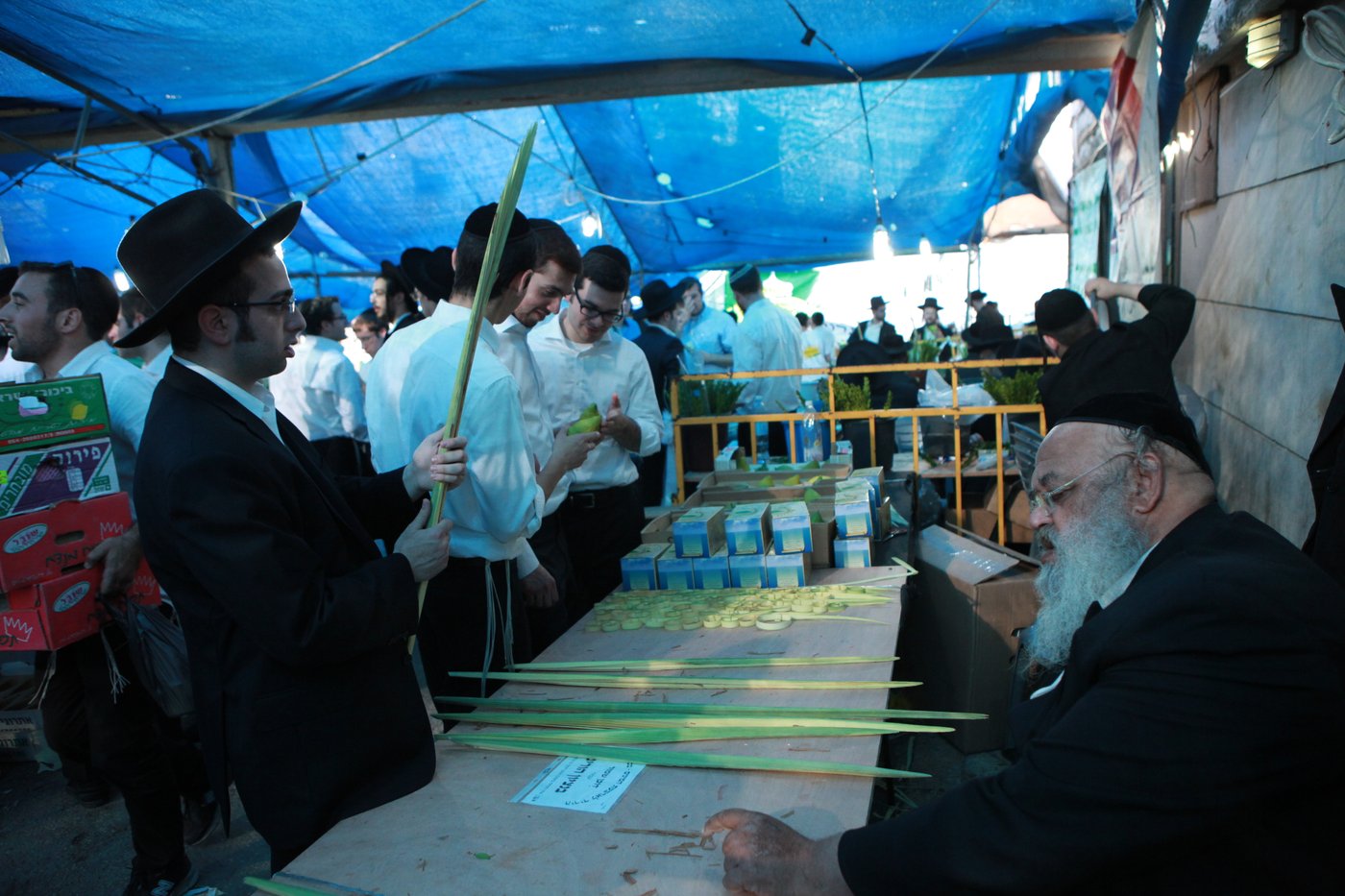 ולקחתם לכם • הירושלמים בחרו ארבעת המינים