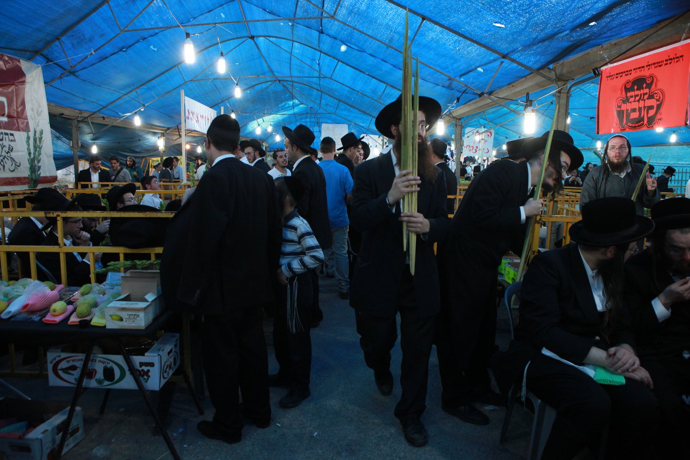 ולקחתם לכם • הירושלמים בחרו ארבעת המינים