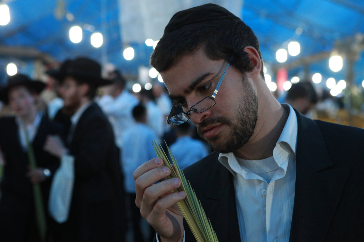 ולקחתם לכם • הירושלמים בחרו ארבעת המינים