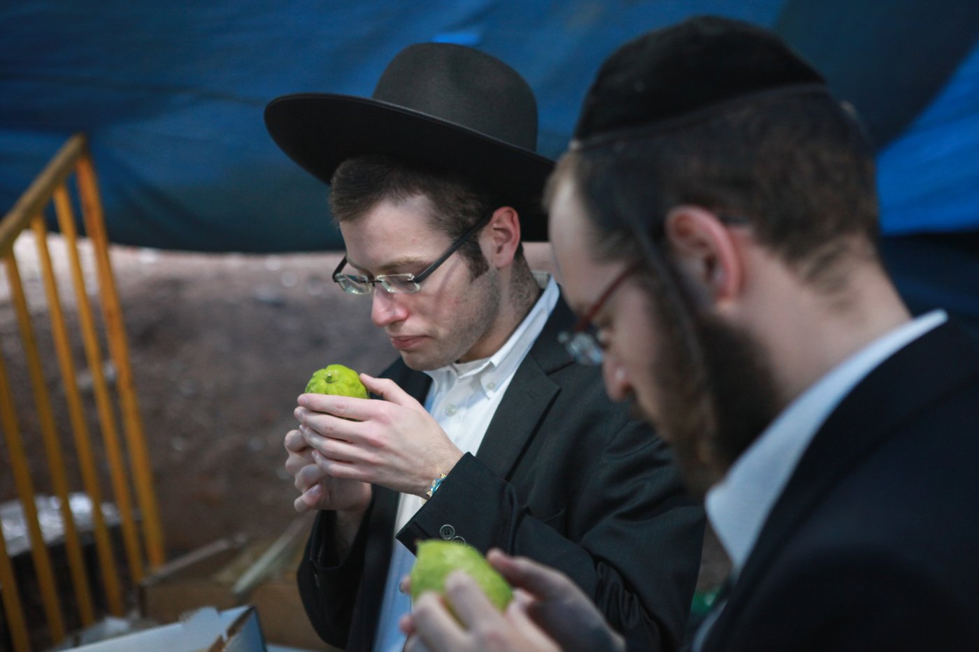 ולקחתם לכם • הירושלמים בחרו ארבעת המינים
