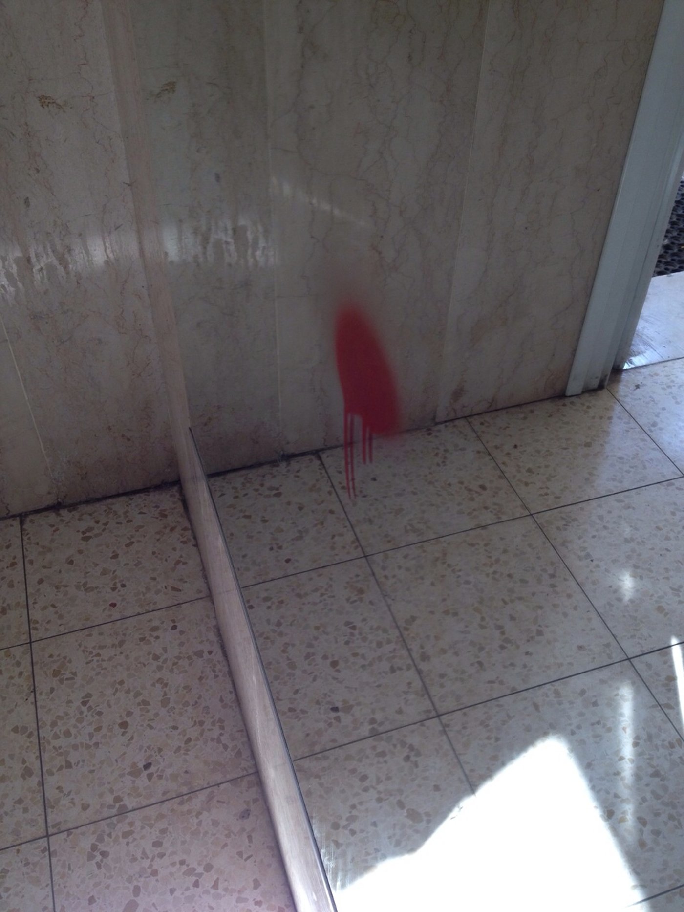 אלעד: כתובות נאצה נגד צוריאל קריספל