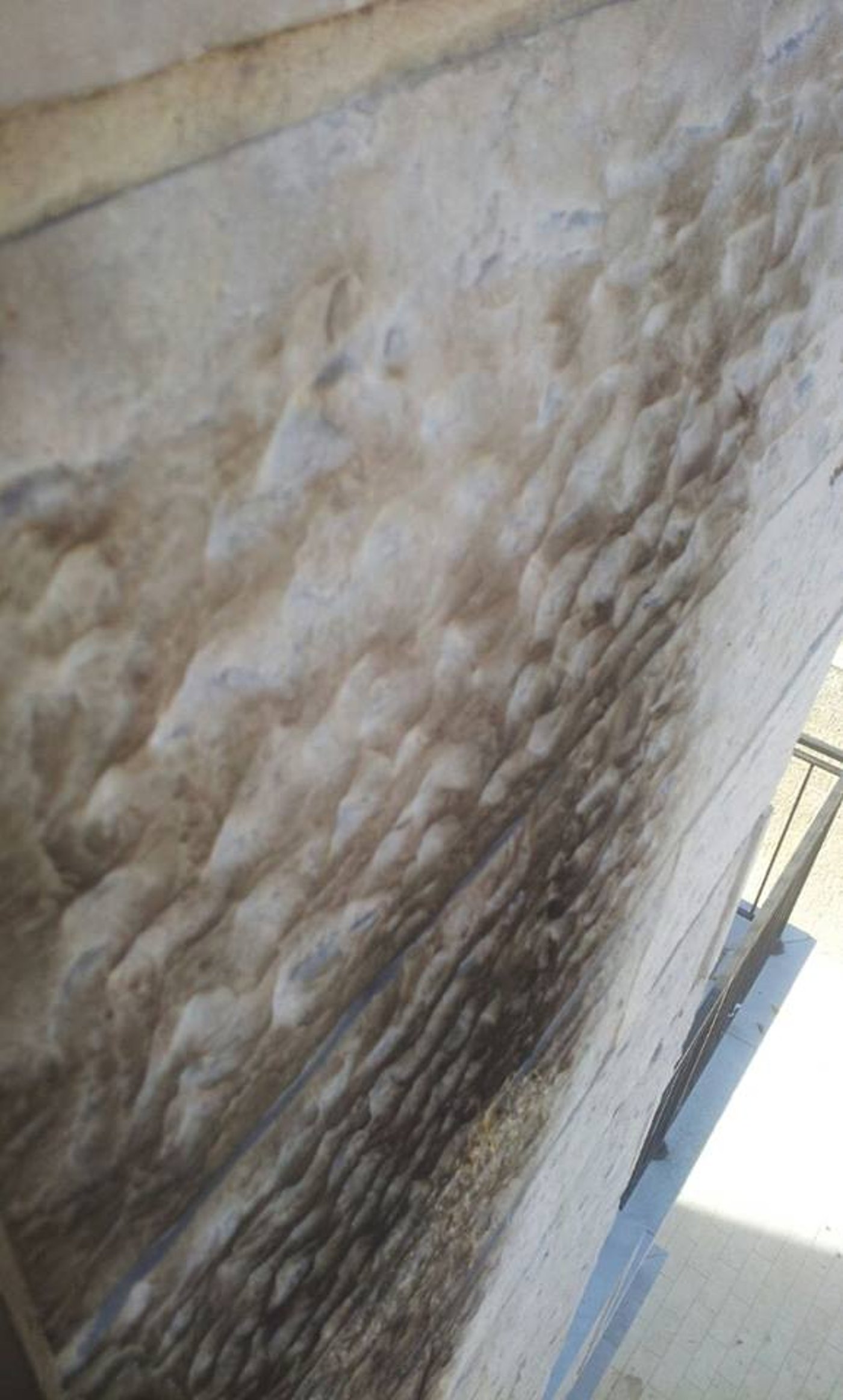 תיעוד: בקבוקי תבערה על ביתו של אריה קינג בירושלים
