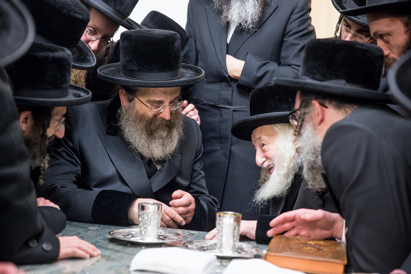 גלריה: חבר "המועצת" האדמו"ר מסאדיגורא בניו יורק