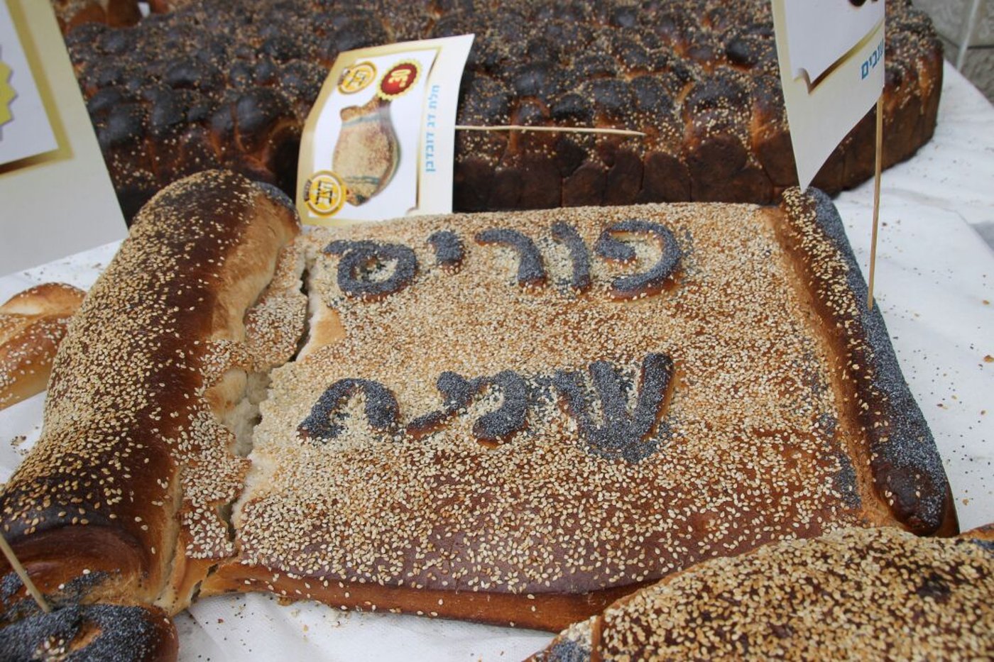 ברחובות בני ברק כבר פורים • צפו