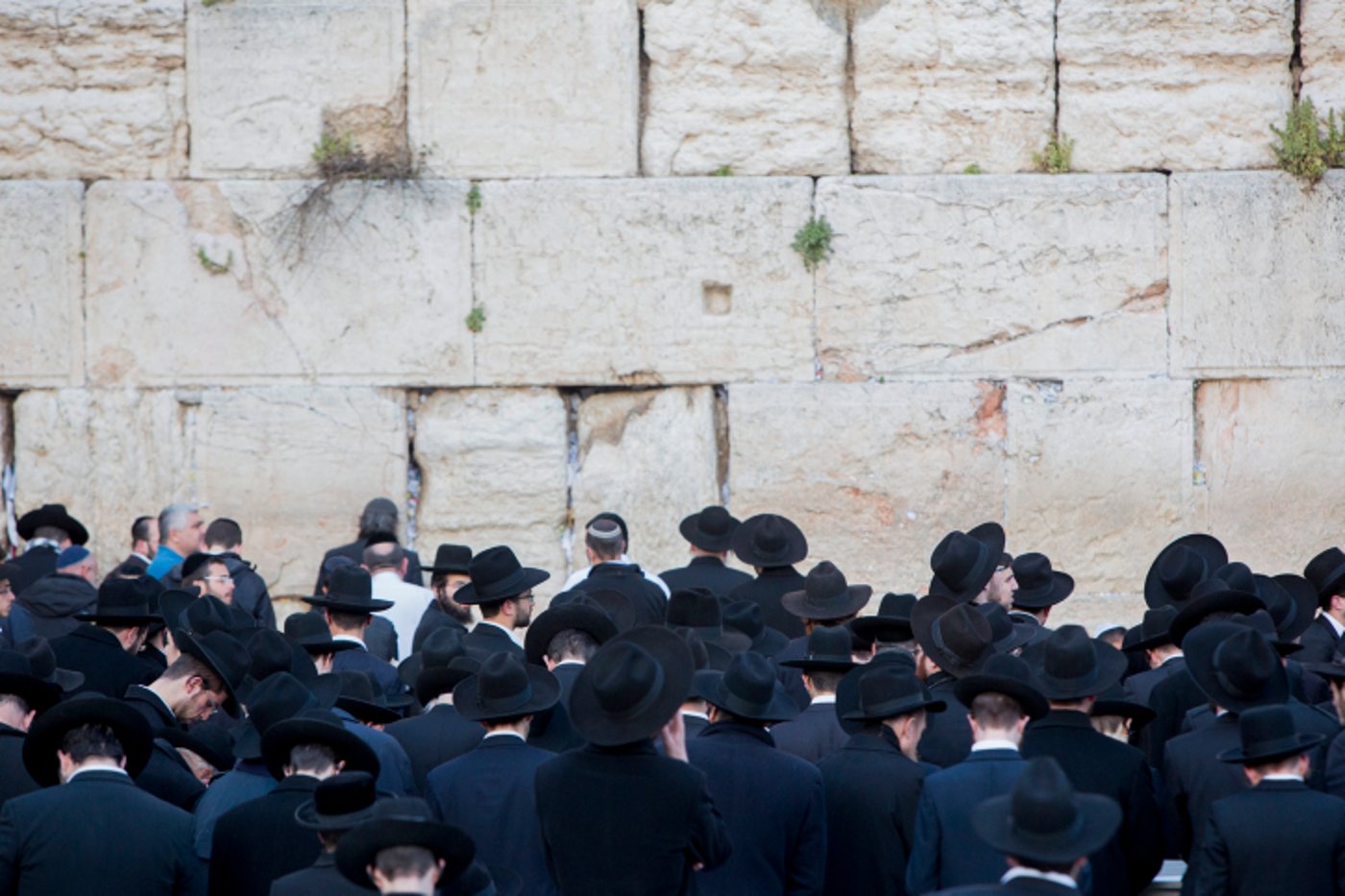 תיעוד: התפילה בכותל לרפואת רבי דב צבי קרלנשטיין