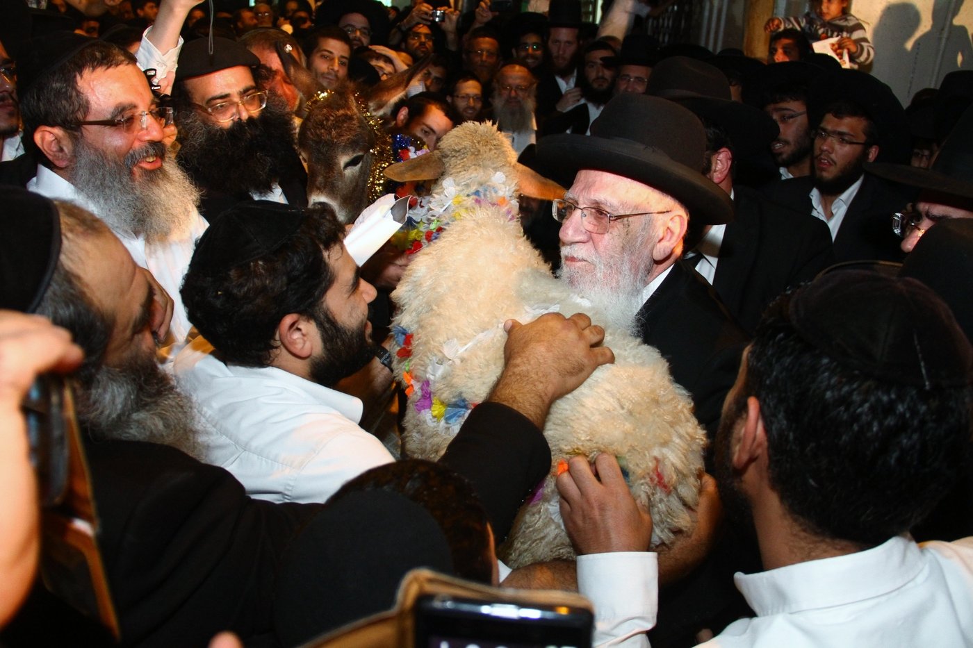 גלריה: נשיא המועצת הגר"ש כהן ב'פדיון פטר חמור'