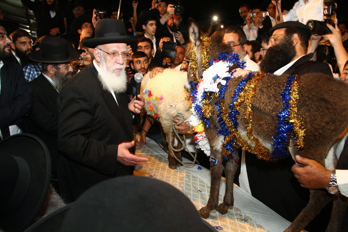גלריה: נשיא המועצת הגר"ש כהן ב'פדיון פטר חמור'