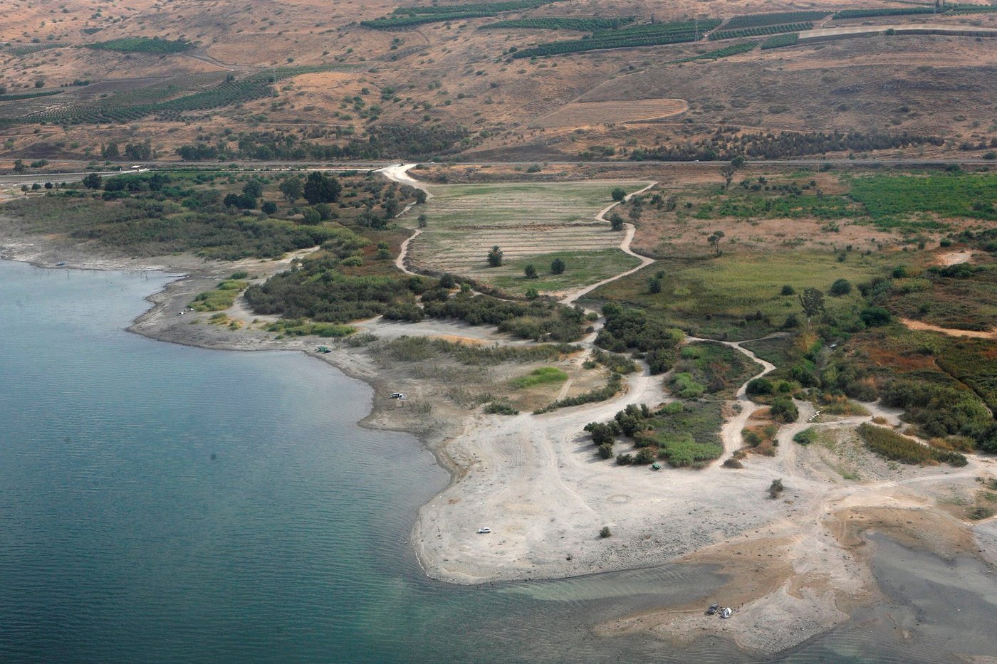 הכינרת