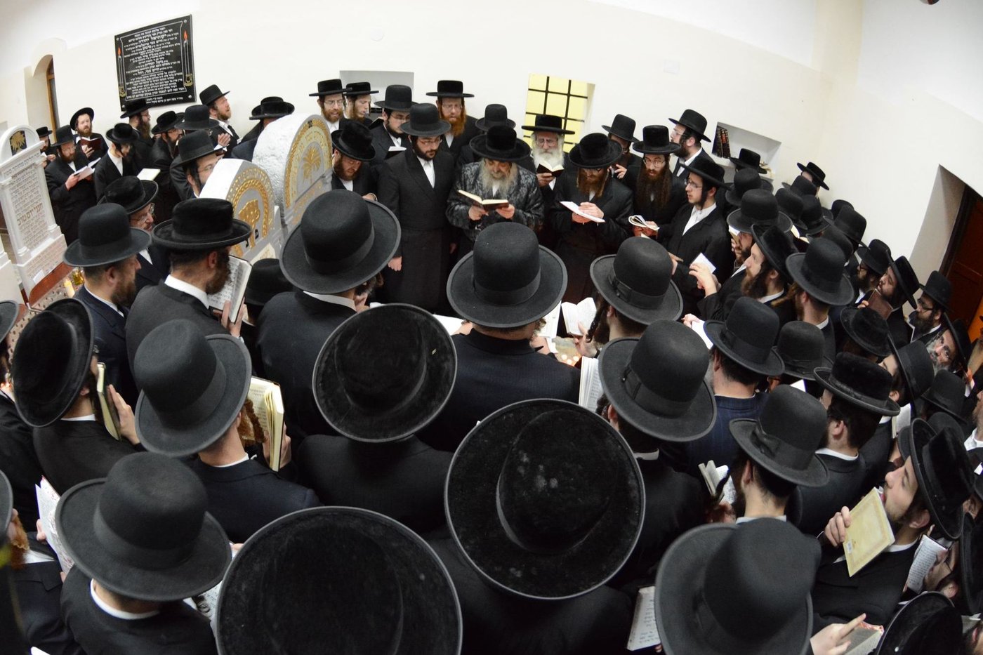 גלריה מסכמת: המסע של האדמו"ר מסאטמר
