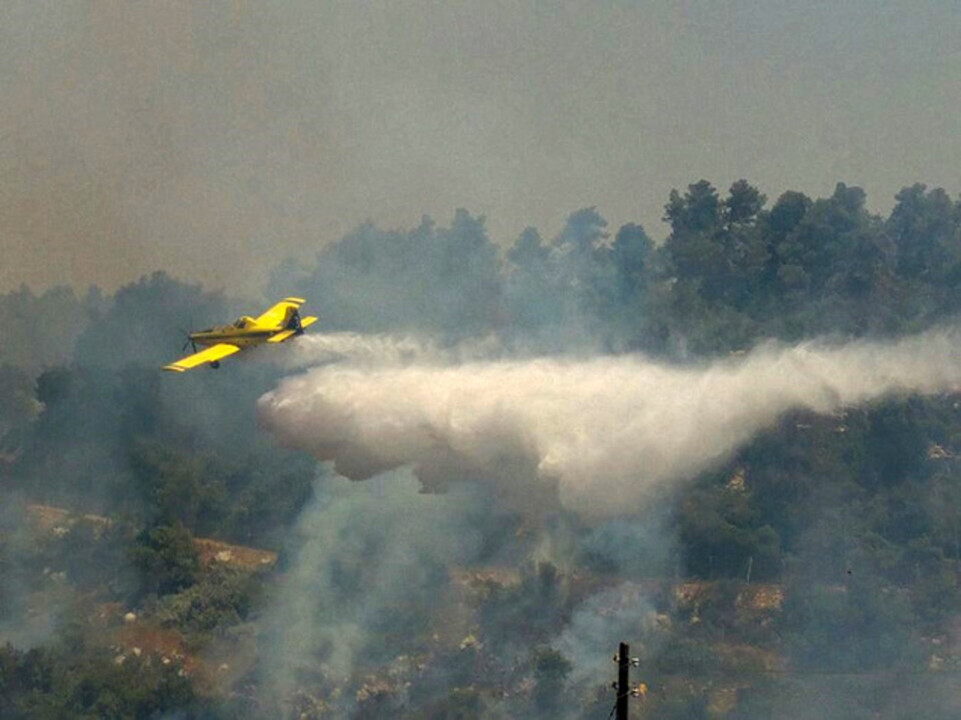 שידור חי: שריפת ענק באזור בית שמש; נערכים לפינוי ישובים