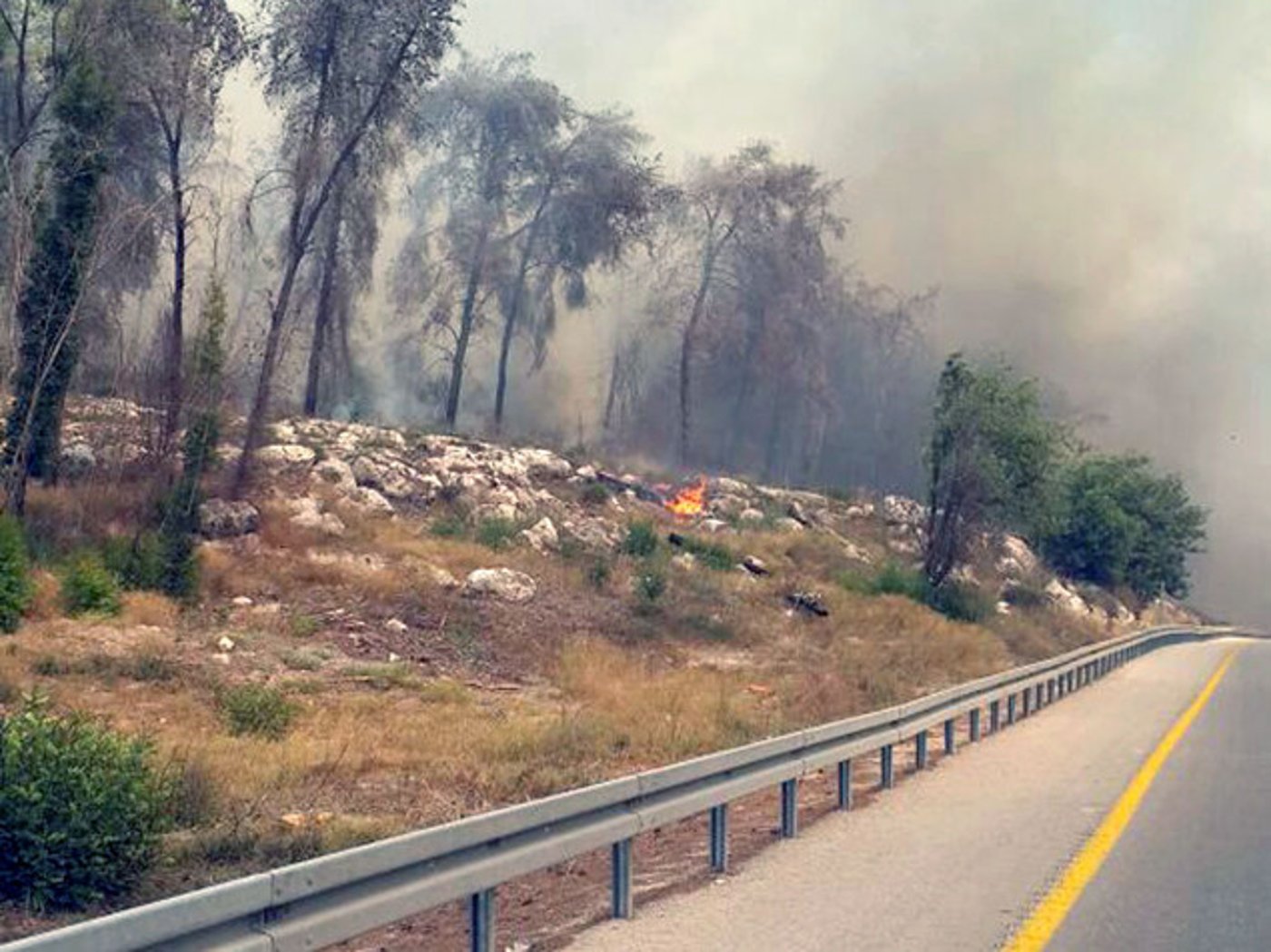 שידור חי: שריפת ענק באזור בית שמש; נערכים לפינוי ישובים