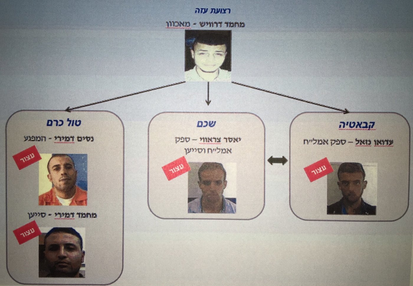 נעצרה חולייה שתכננה לבצע פיגוע נגד מתפללים בקבר יוסף