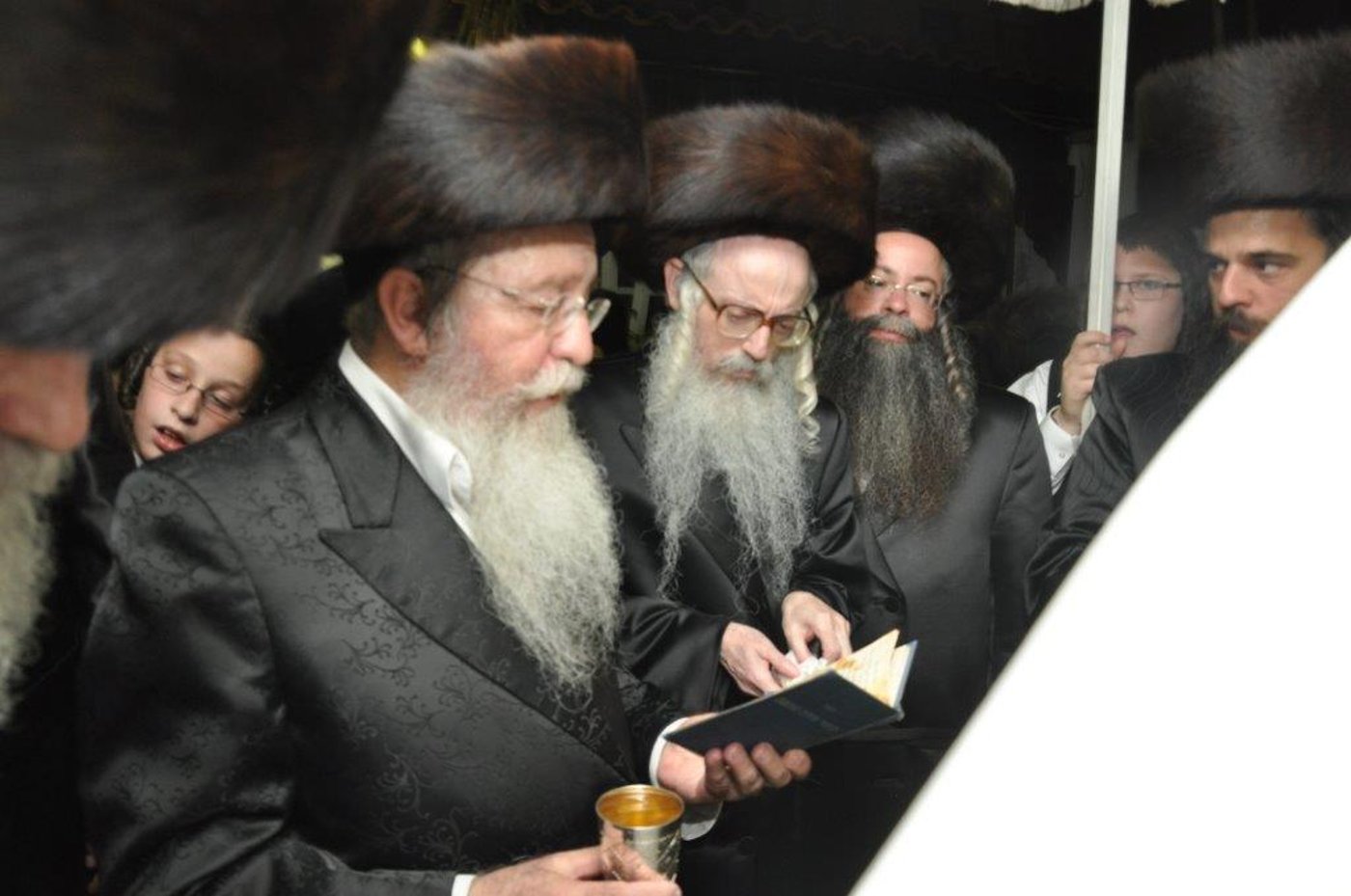 שמחת נישואי נכדת הגר"ח וואזנר עם נכד הרביח מנדבורנה חיפה • גלריה