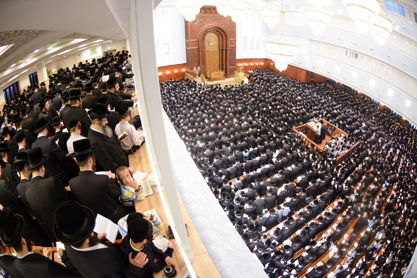 סליחות ראשונות עם האדמו"ר מבעלזא • גלריה