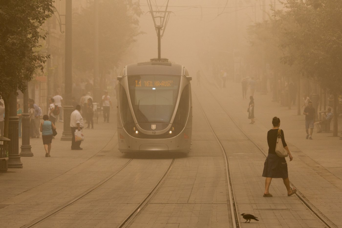 האובך יימשך עד לתחילת השבוע הבא, עומס חום כבד ברחבי הארץ