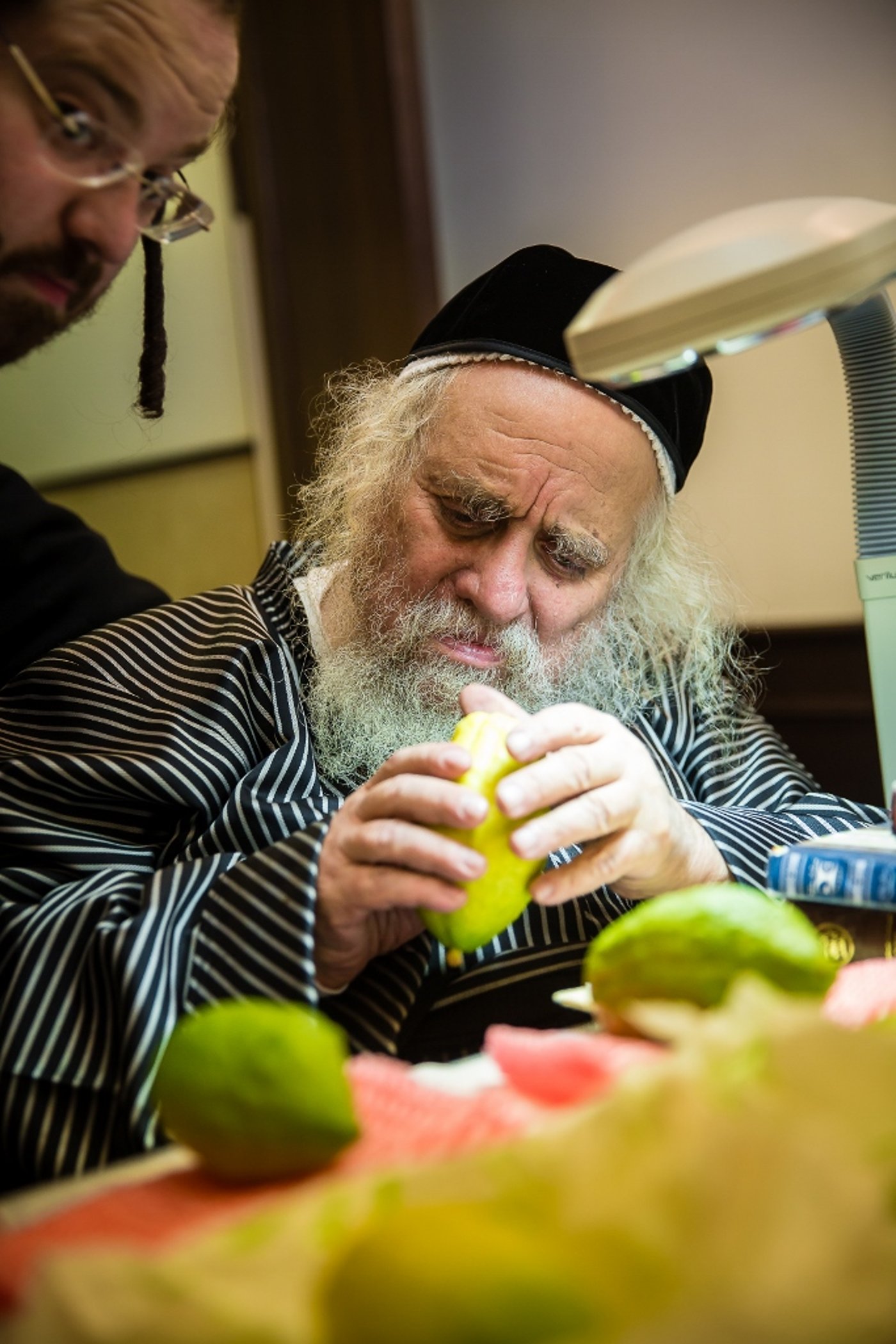 גאב"ד קארלסבורג בבדיקת אתרוגים לסוכות