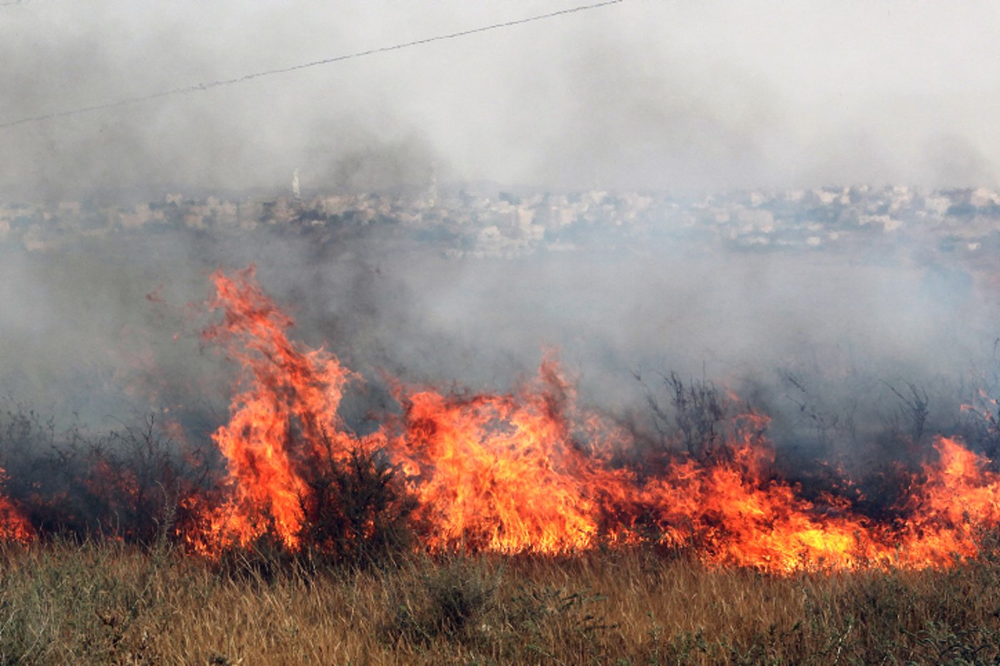 ארדן יוזם: אזרחים לא ישלמו לשירותי הכבאות וההצלה