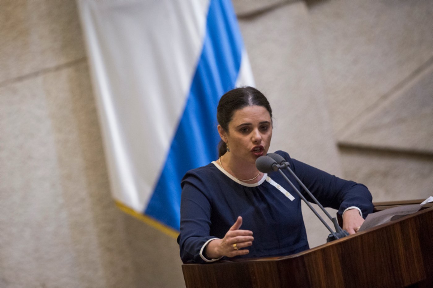 שקד מציגה את החוק