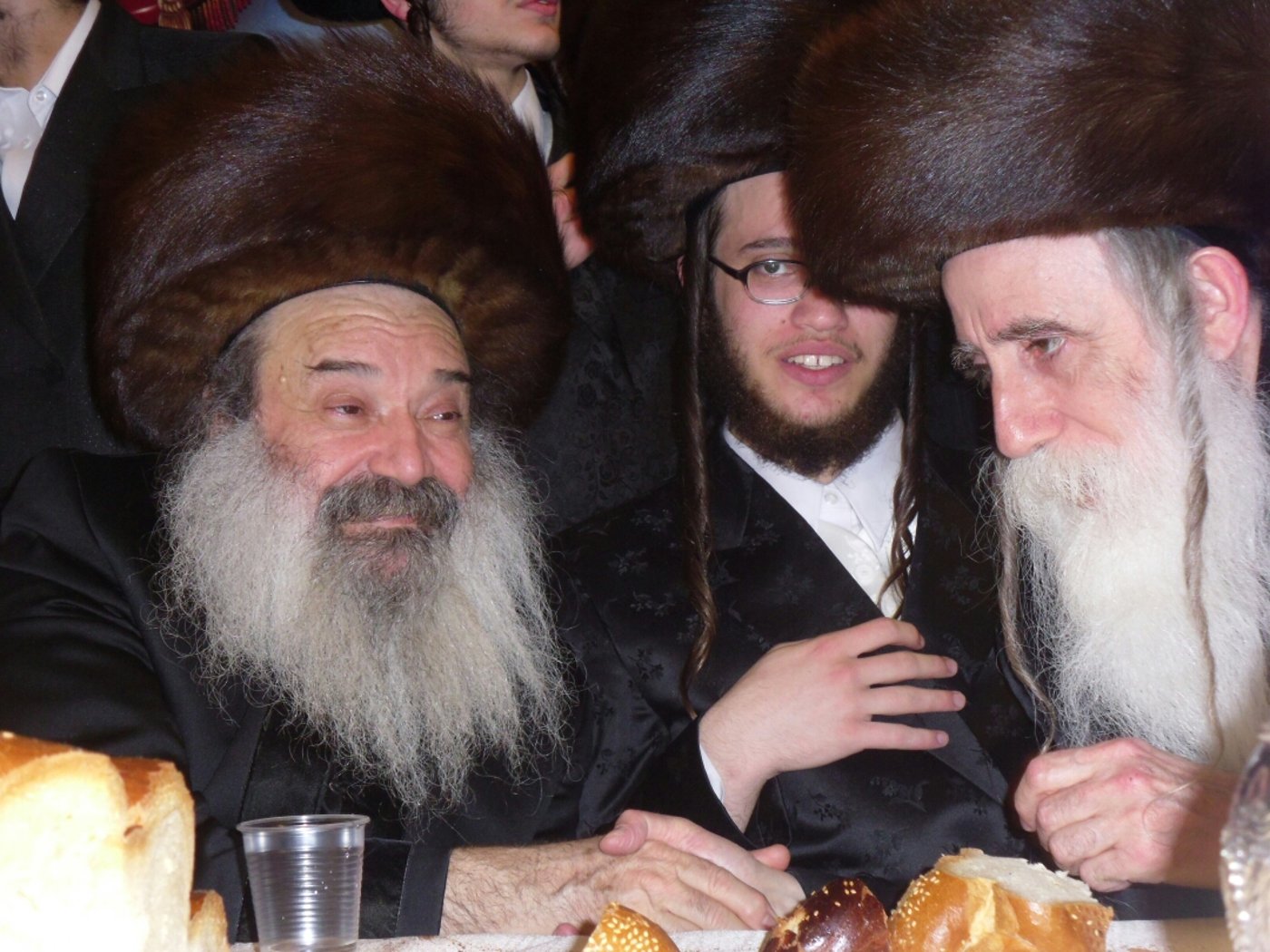 שמחת בית שומרי אמונים-האלמין-זידיטשויב
