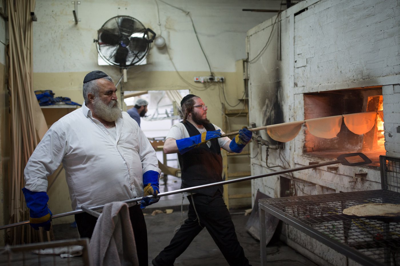 ערב פורים: בכפר חב"ד כבר אופים מצות • צפו