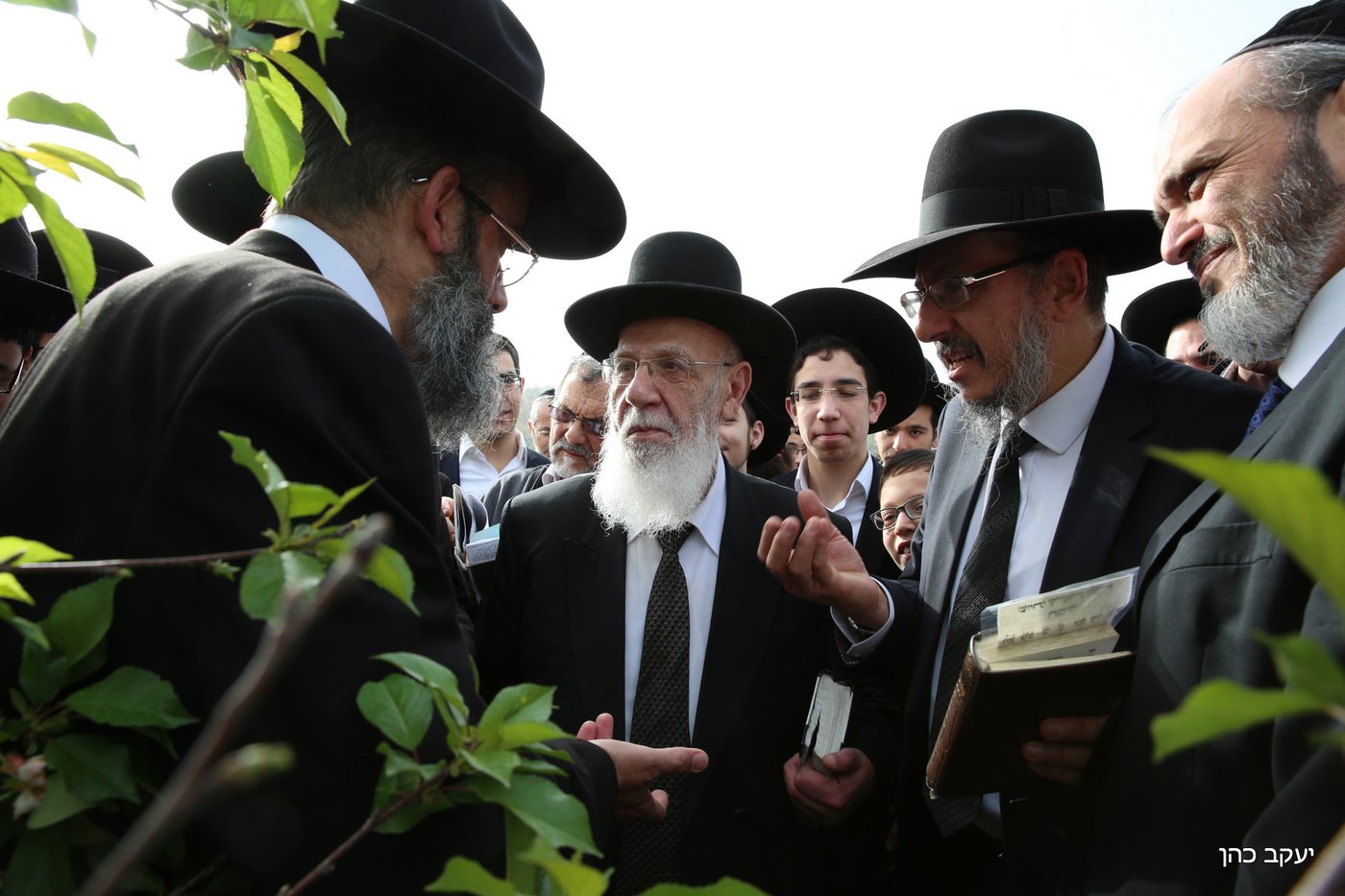 גלריה: "ברכת האילנות" של נשיא המועצת