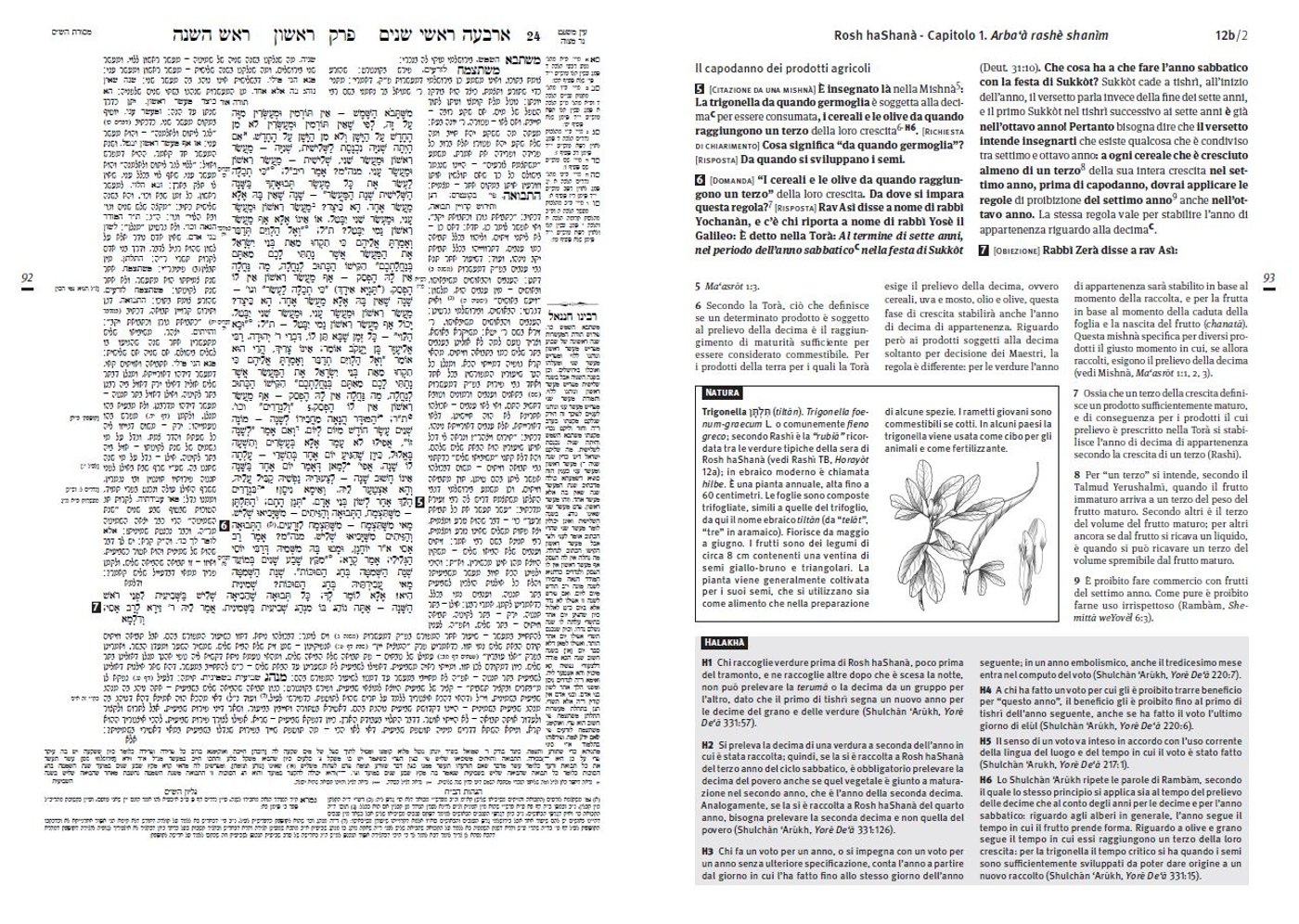 נשיא איטליה קיבל מסכת ראש השנה מתורגמת • צפו