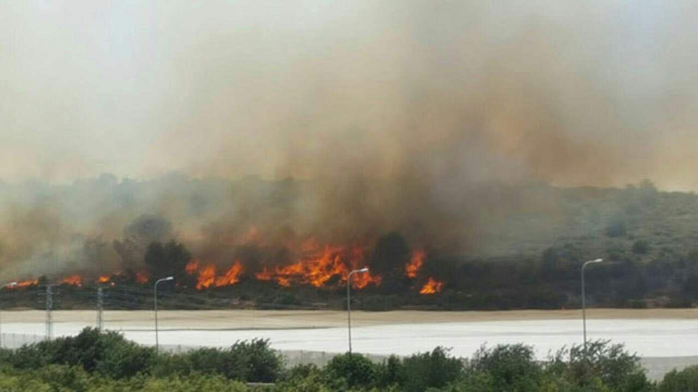 השרפה בישוב שלומי