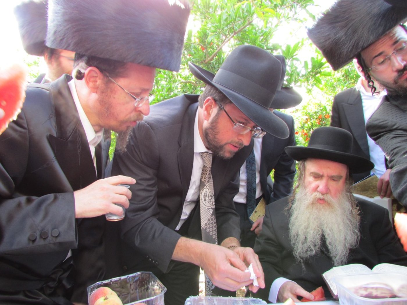 ברכת האילנות ואכילת פירות. גלריה