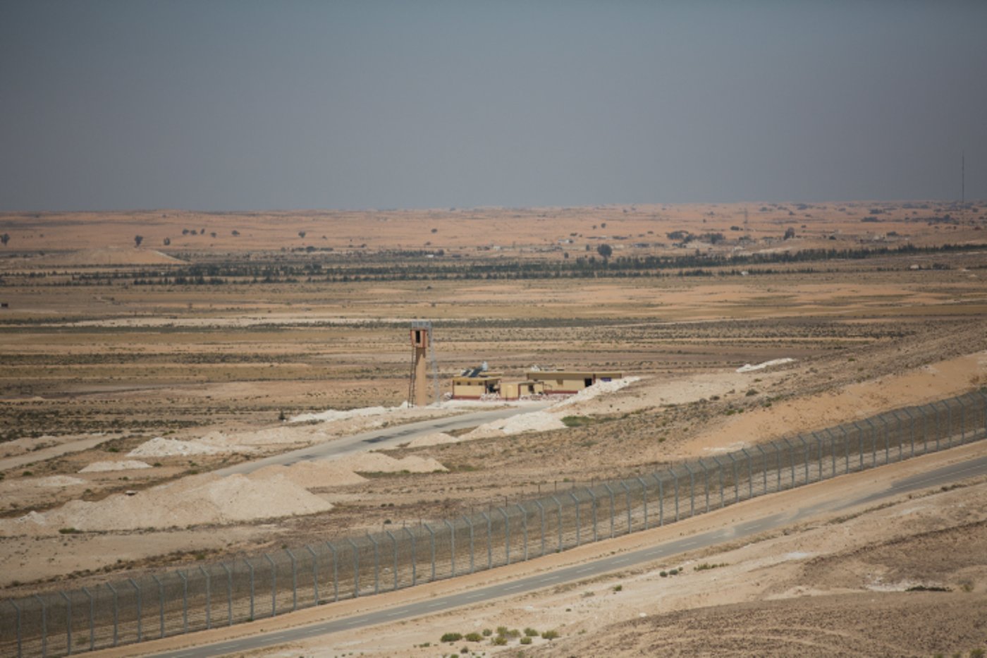 האביב בא: גלריה צחיחה מהנגב המערבי