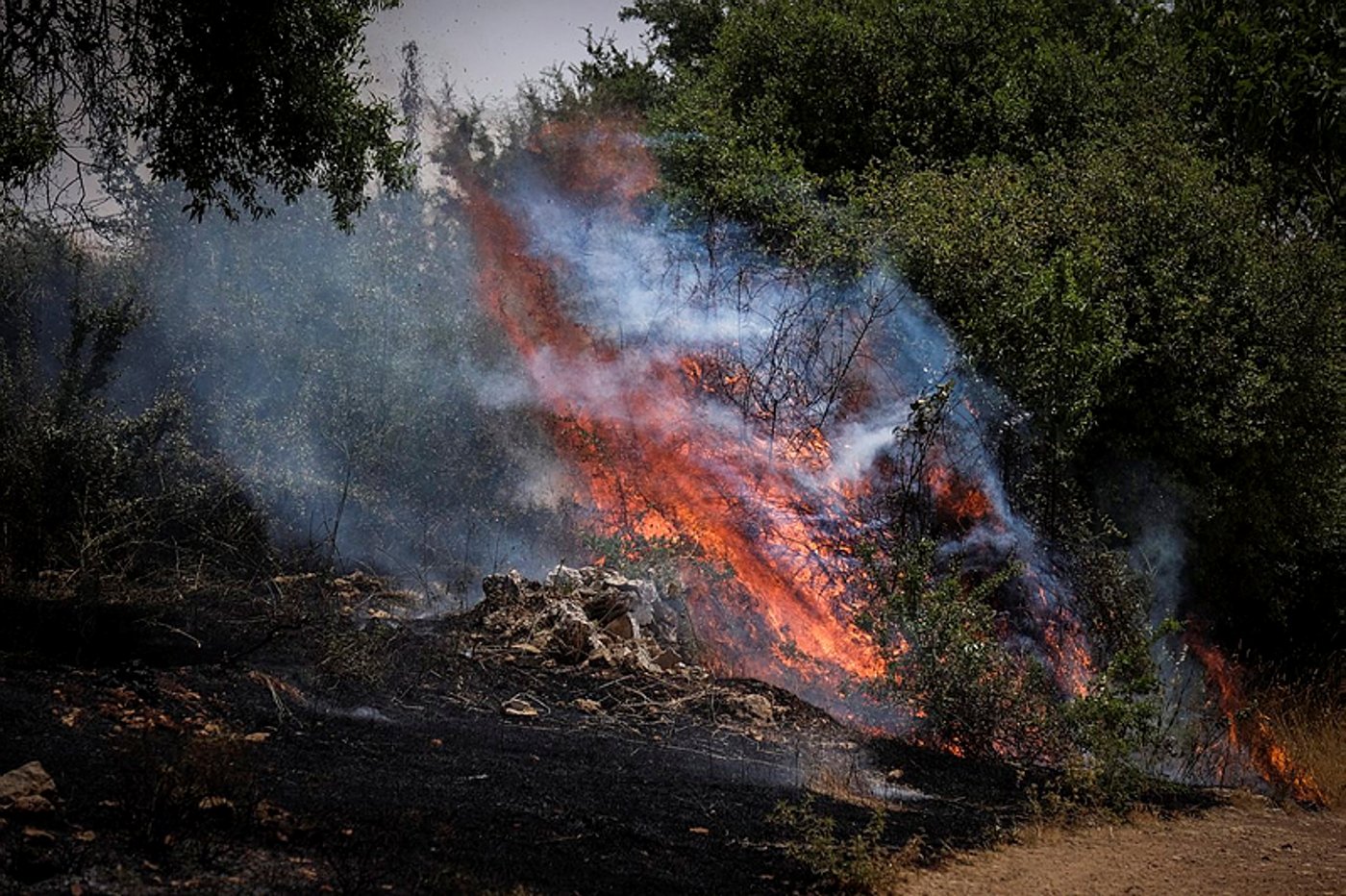אחרי 5 שעות: הושגה שליטה על שריפת הענק באזור ירושלים