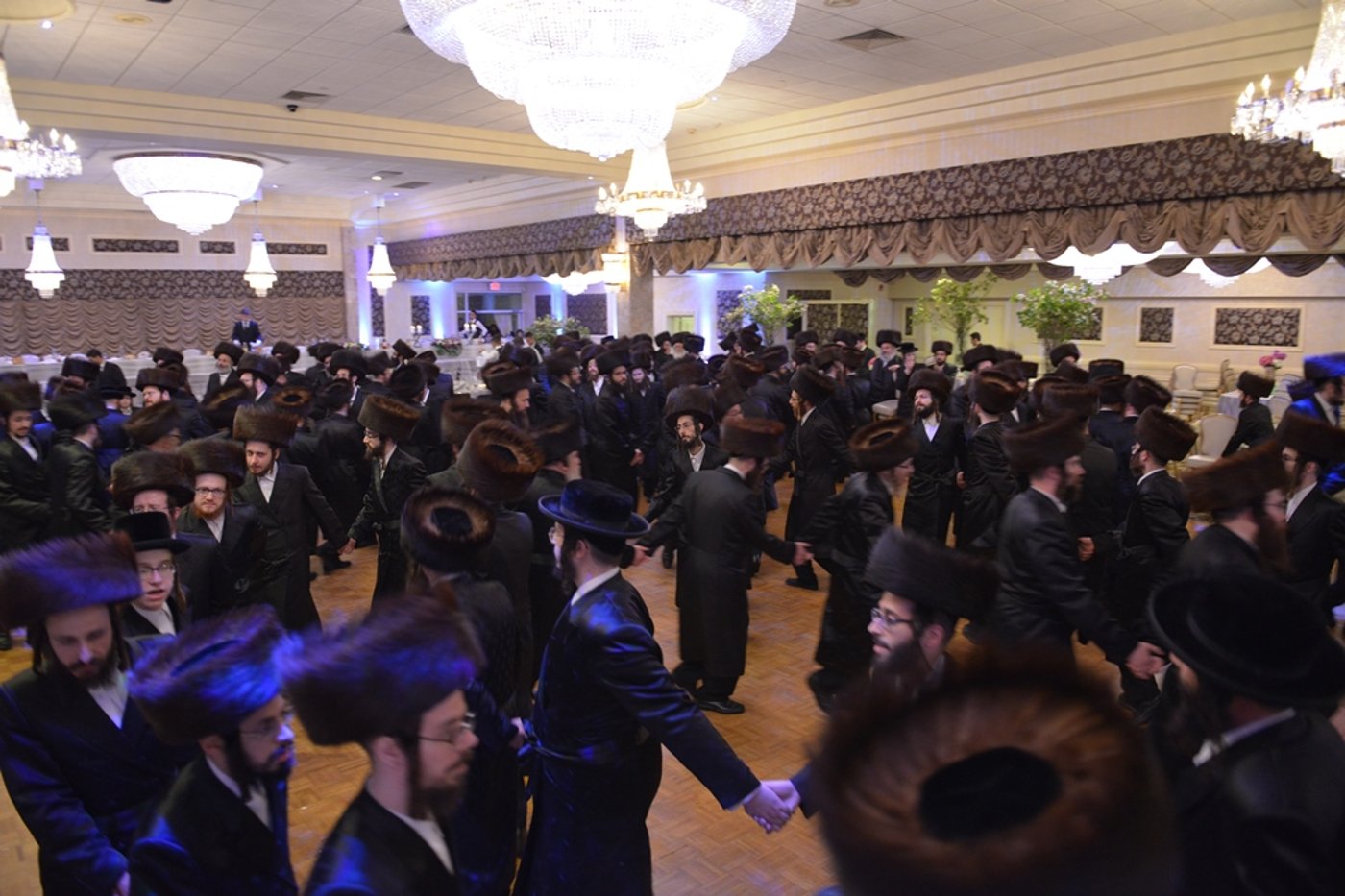 שבע ברכות לנכד האדמו"ר מסאטמר. גלריה