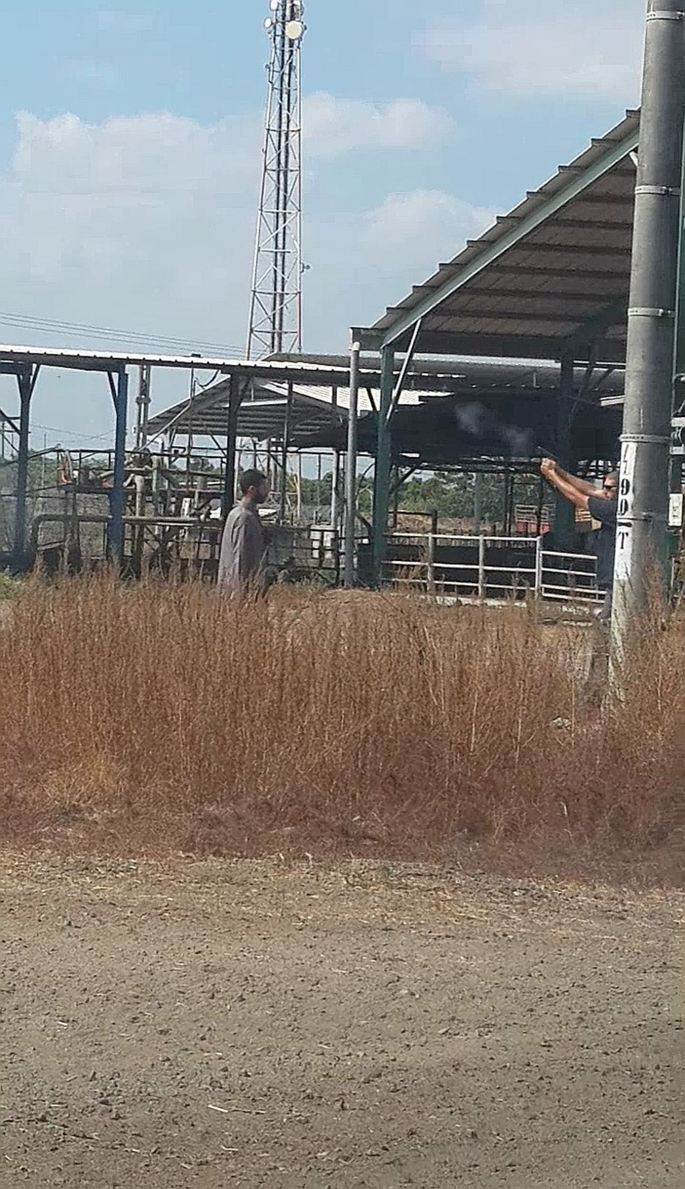 רם חכמון
