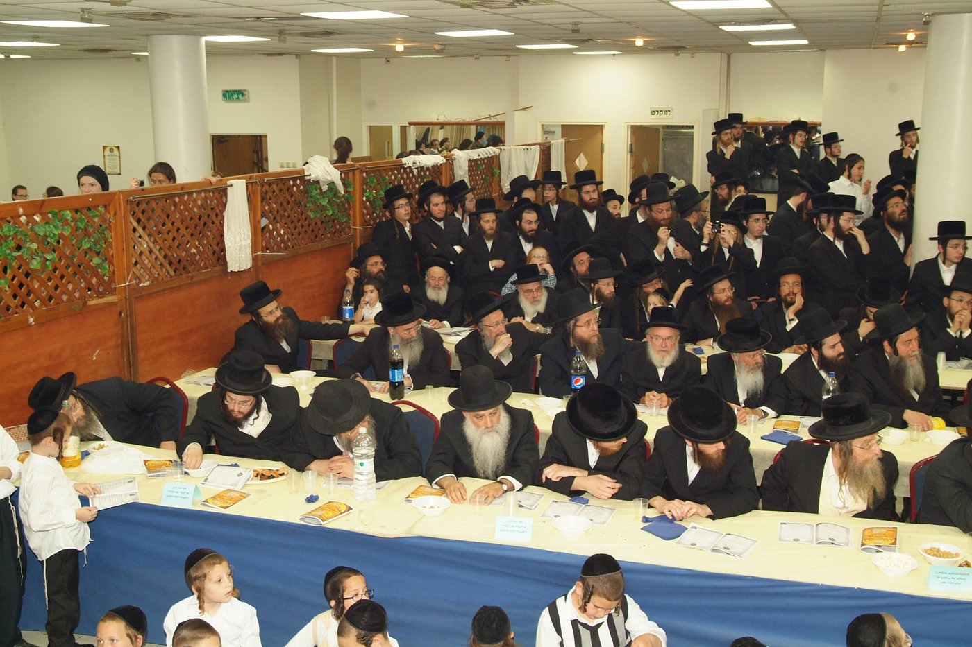 מסיבת חומש: הרבי מויז'ניץ השתתף לכבוד היתומים