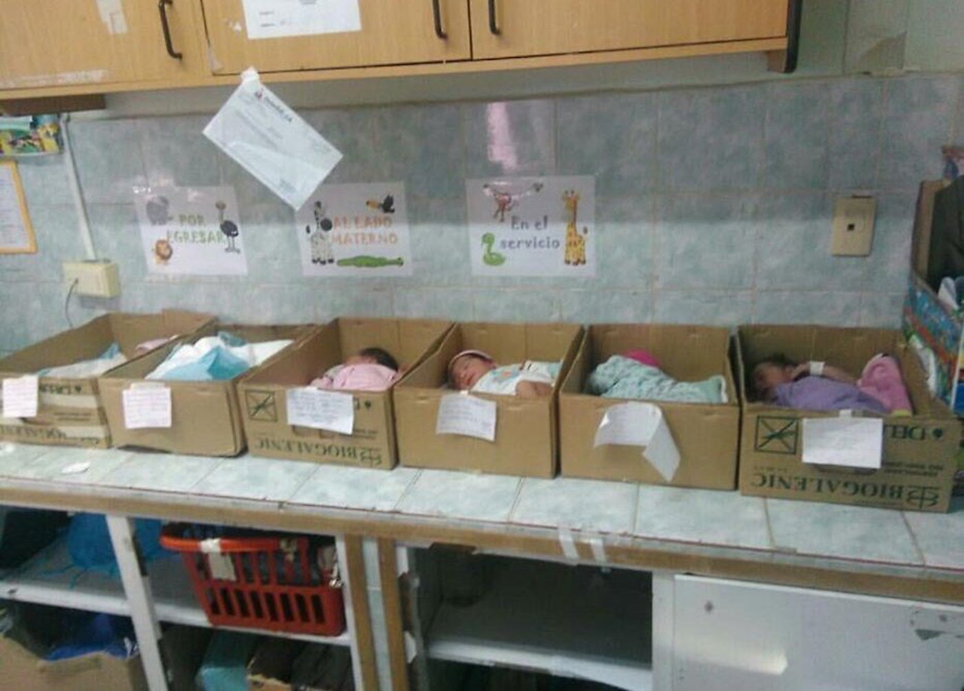 הצילום המחריד