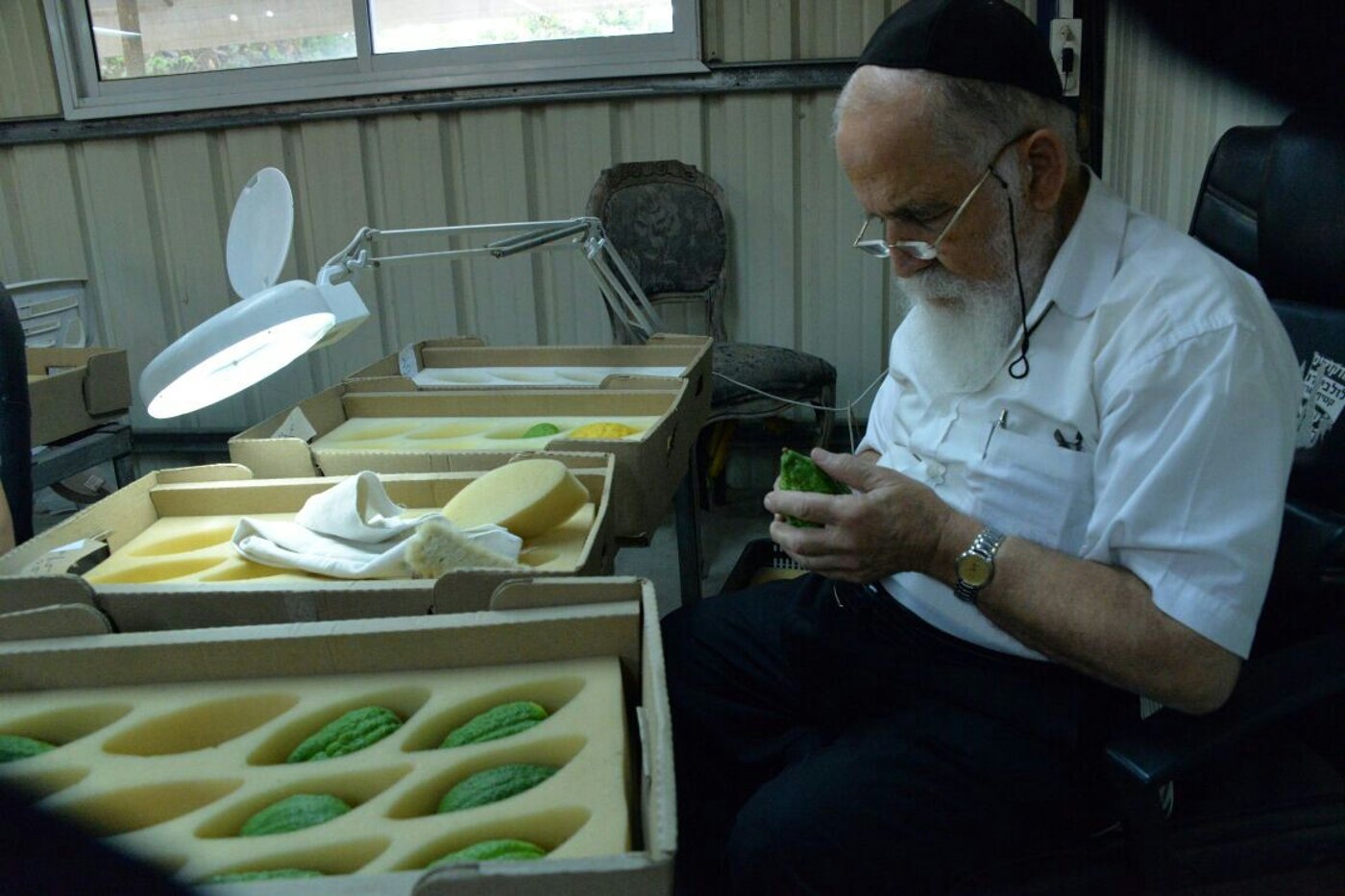 תיעוד: בבני ברק נערכים ליום הכיפורים, בכפר חב"ד לסוכות