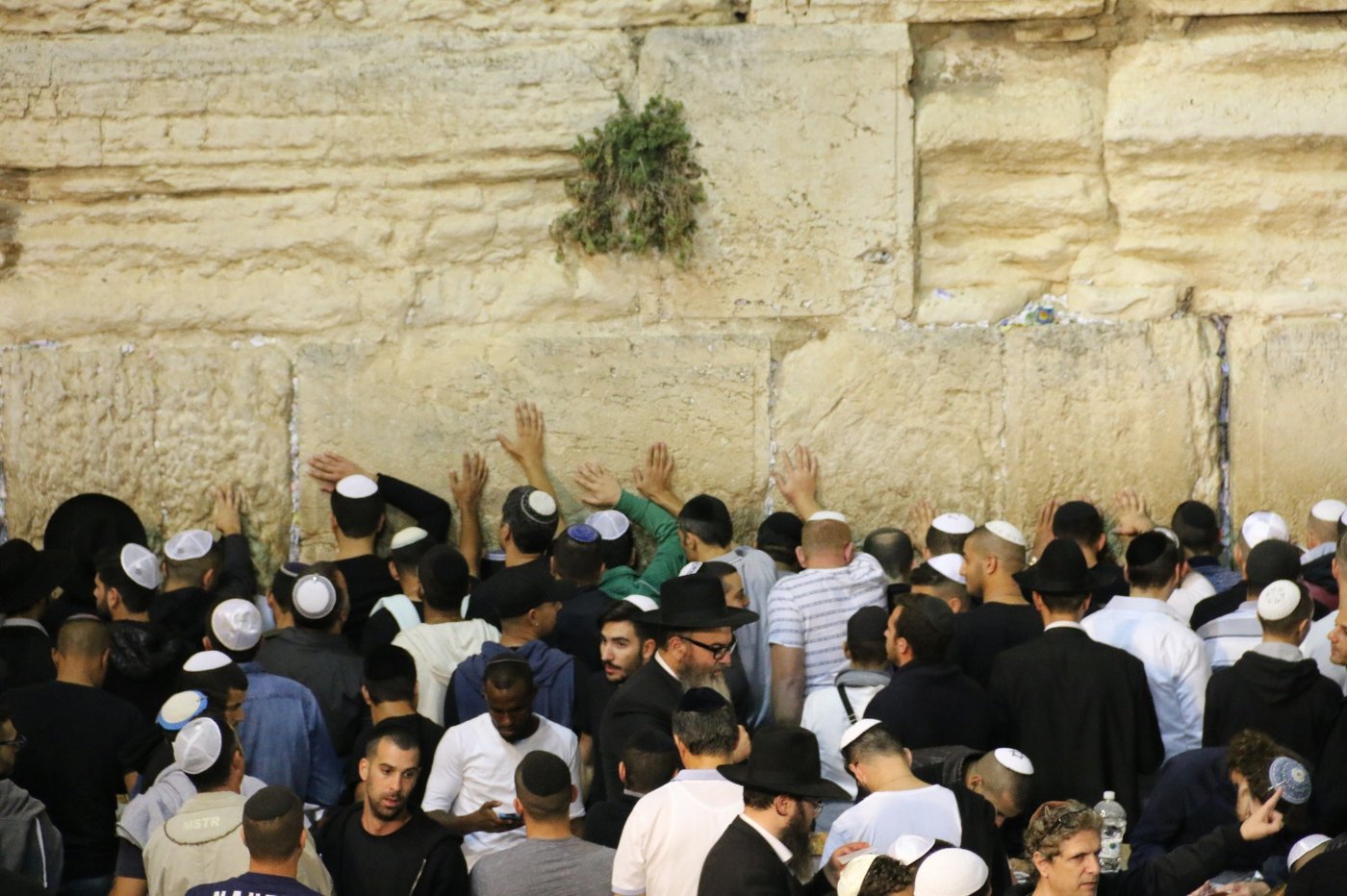 הכותל המערבי: אלפים אמרו סליחות עם המקובל הרב יעקב עדס