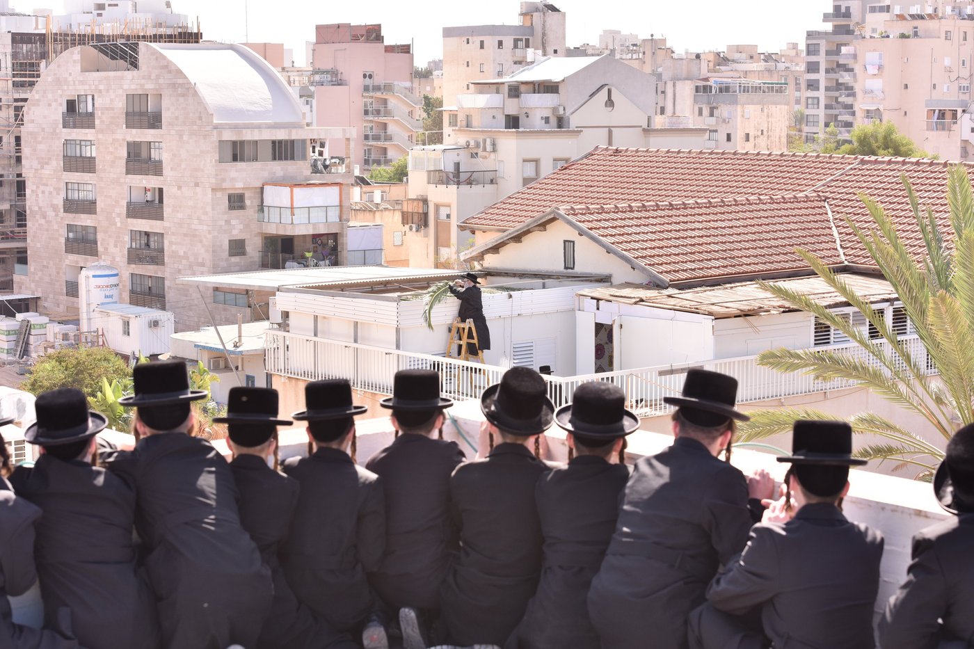 תיעוד: האדמו"ר מצאנז מסכך את סוכתו