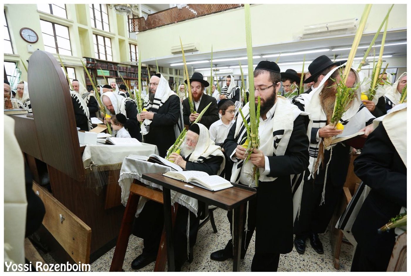 מרן שר התורה הגר"ח קנייבסקי בהלל ובהקפות בהושענות