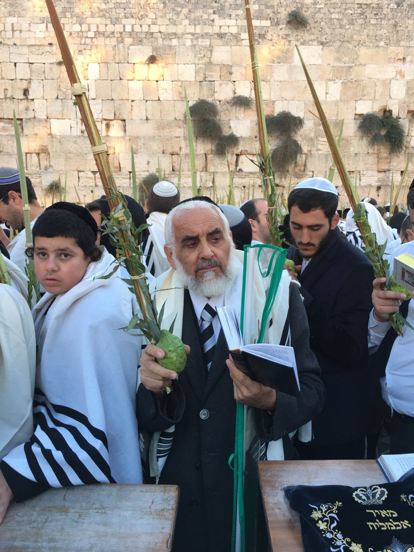 יעקב שוואקי מתחזן בכותל המערבי • צפו