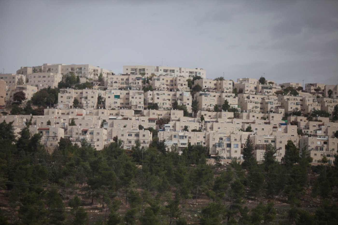 ועדת התכנון תדון בבניית 1,440 יחידות דיור ברמת שלמה