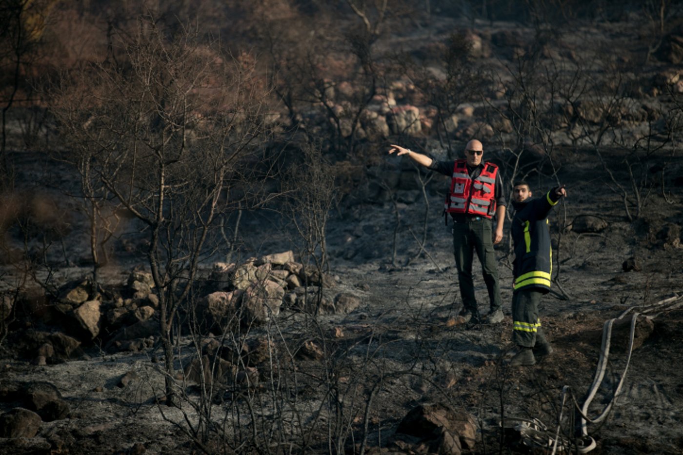 חומות האש, מטוסי הכיבוי והבתים השרופים | גלריה