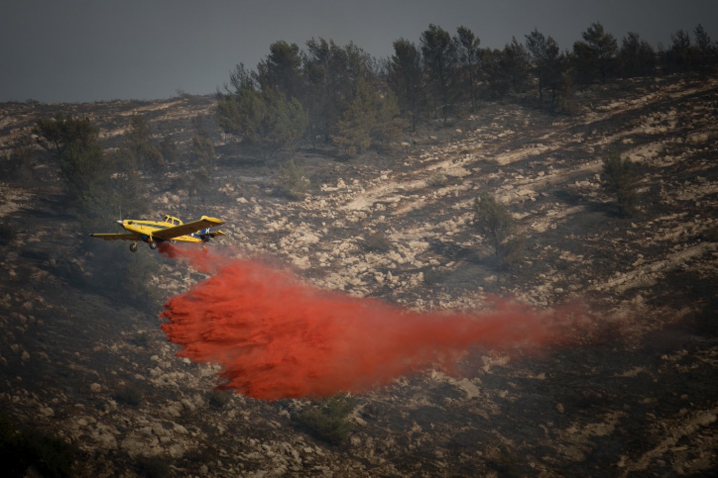 חומות האש, מטוסי הכיבוי והבתים השרופים | גלריה