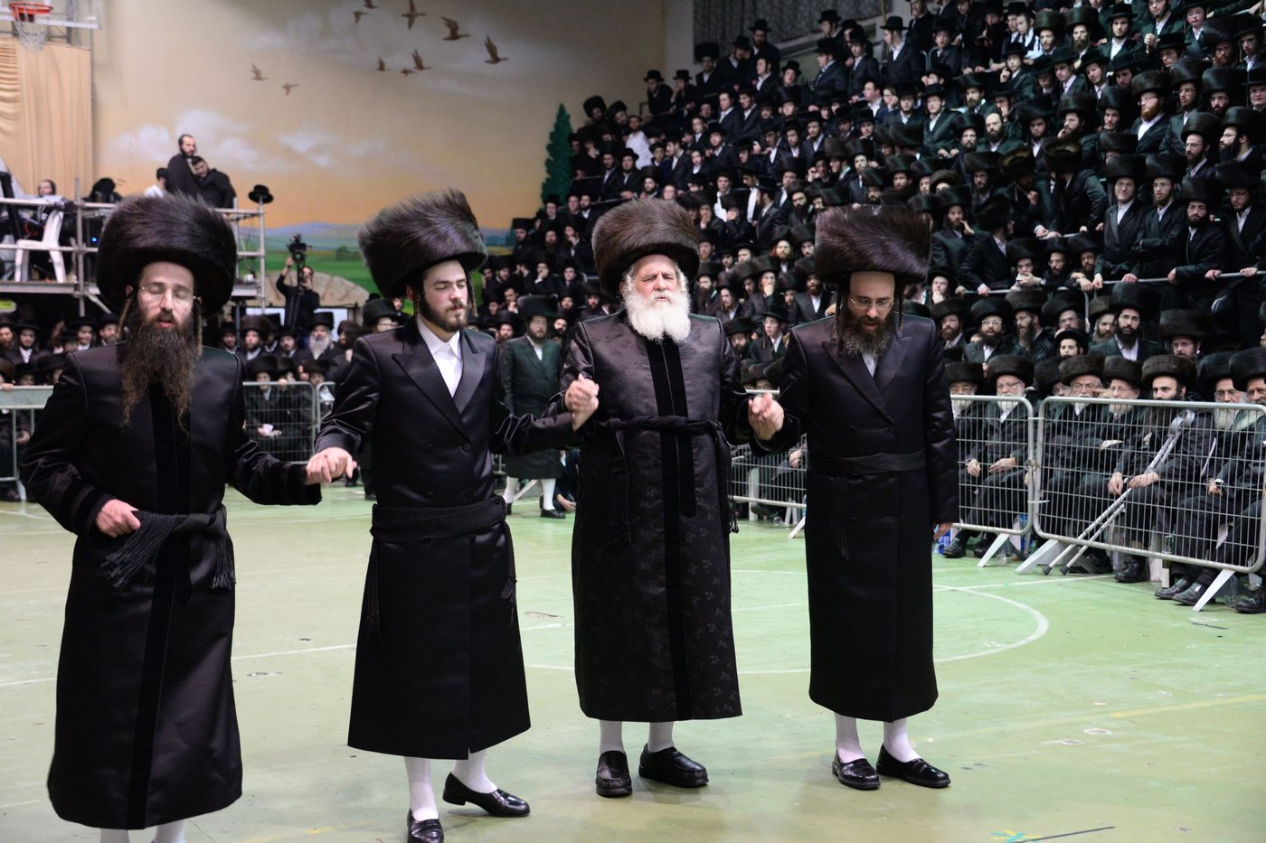 תיעוד ענק: חתונת נכד האדמו"ר מערלוי