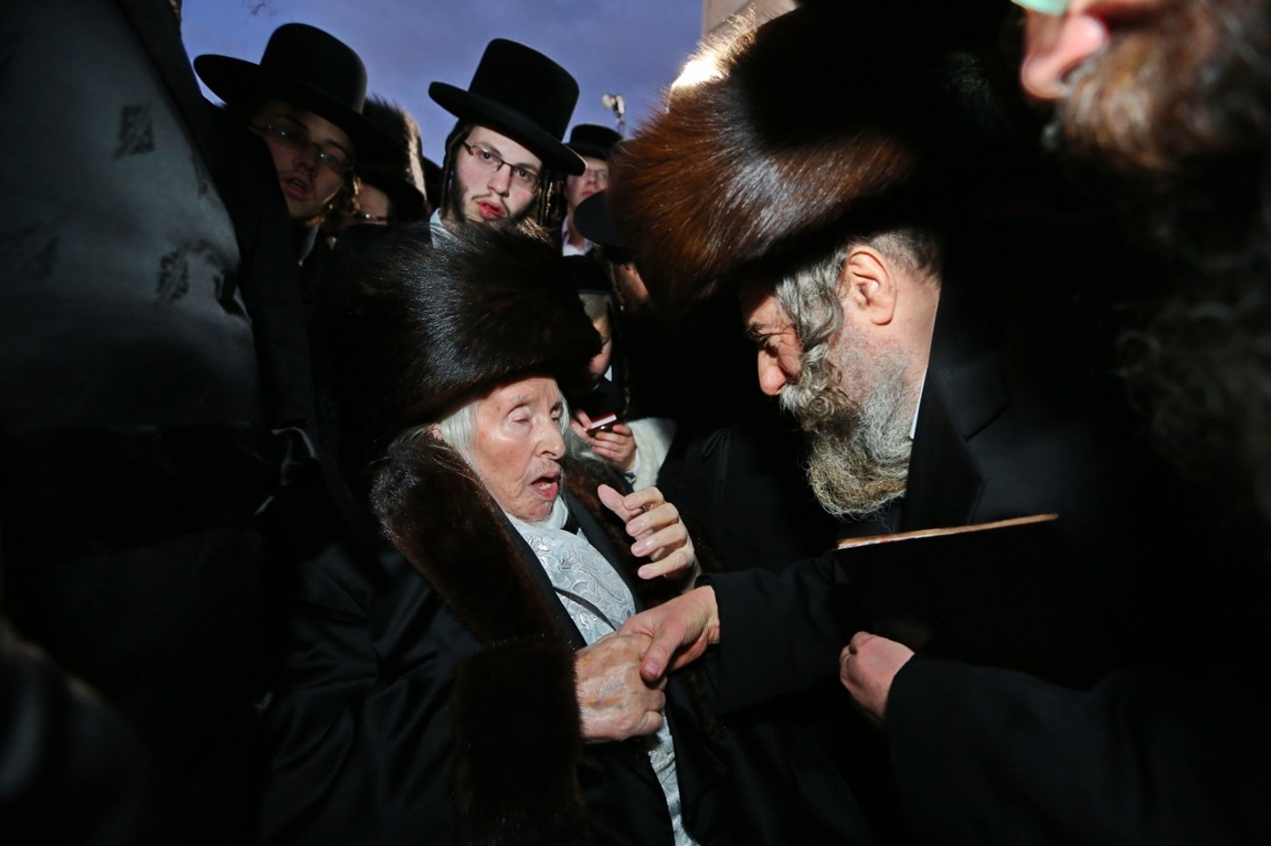 גלריה: חתונת נכדת האדמו"ר מקאליב