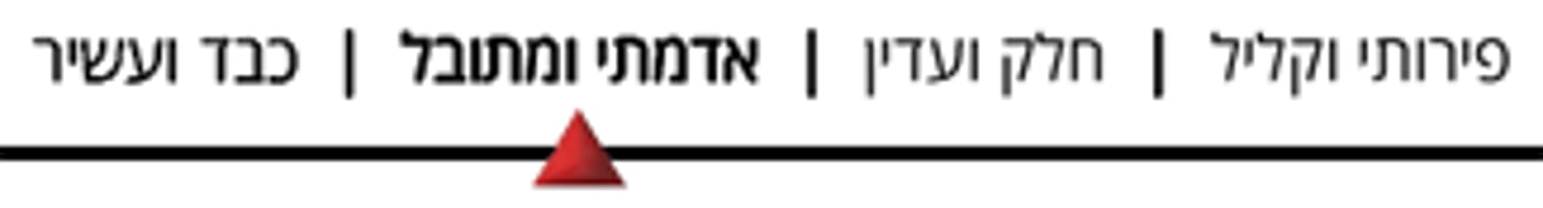 פורים: יין לסעודה ויין למשלוח מנות - איך בוחרים?